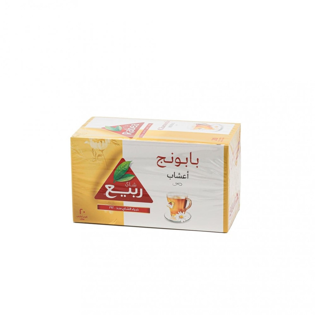 بابونج ربيع 12*20