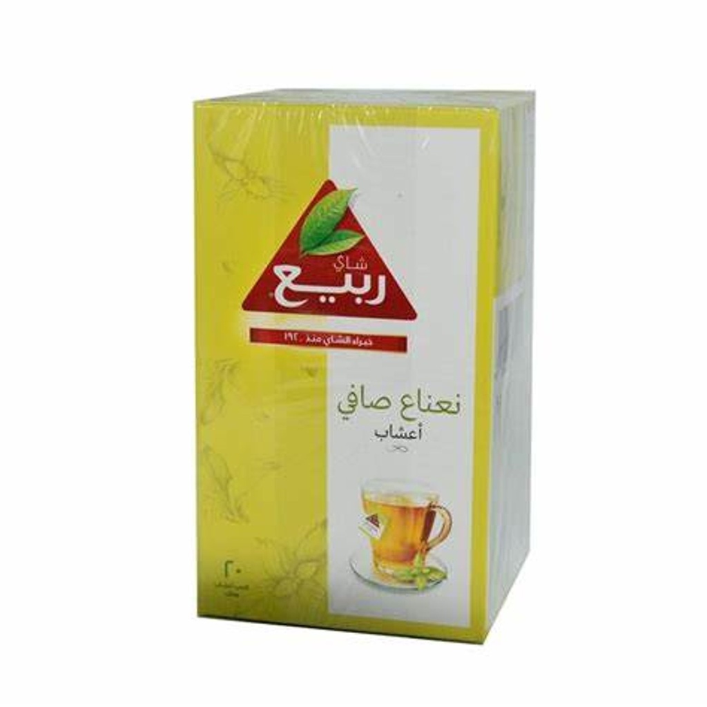 نعناع صافي ربيع 12*20